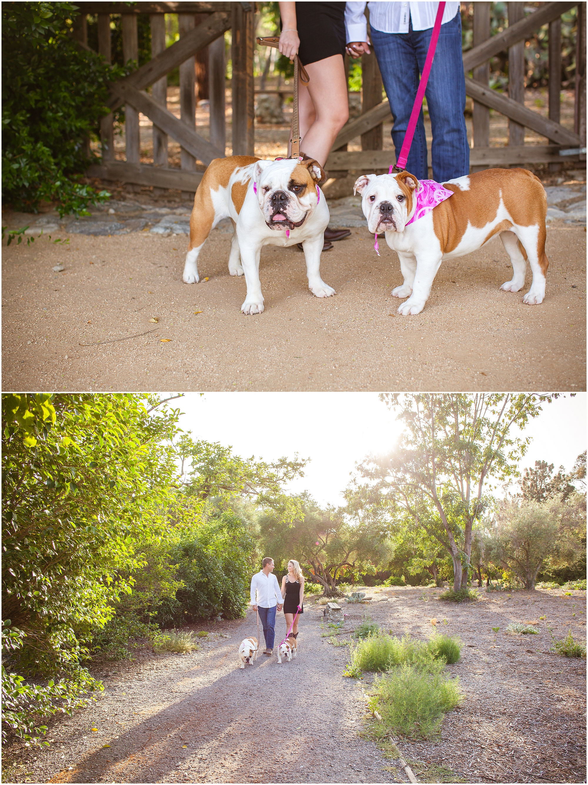 Couples Pet Session - https://brittneyhannonphotography.com