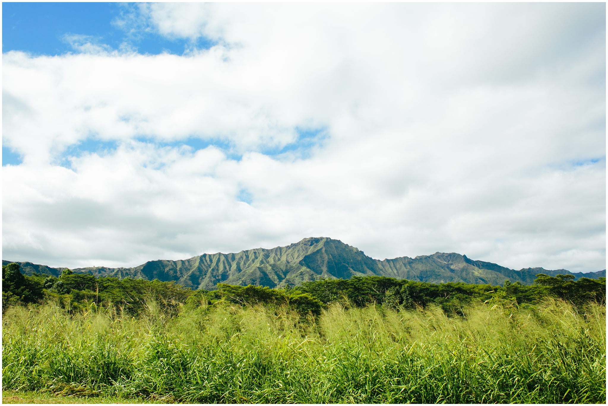 Kauai Wedding Photographer - Kauai Trip https://brittneyhannonphotography.com