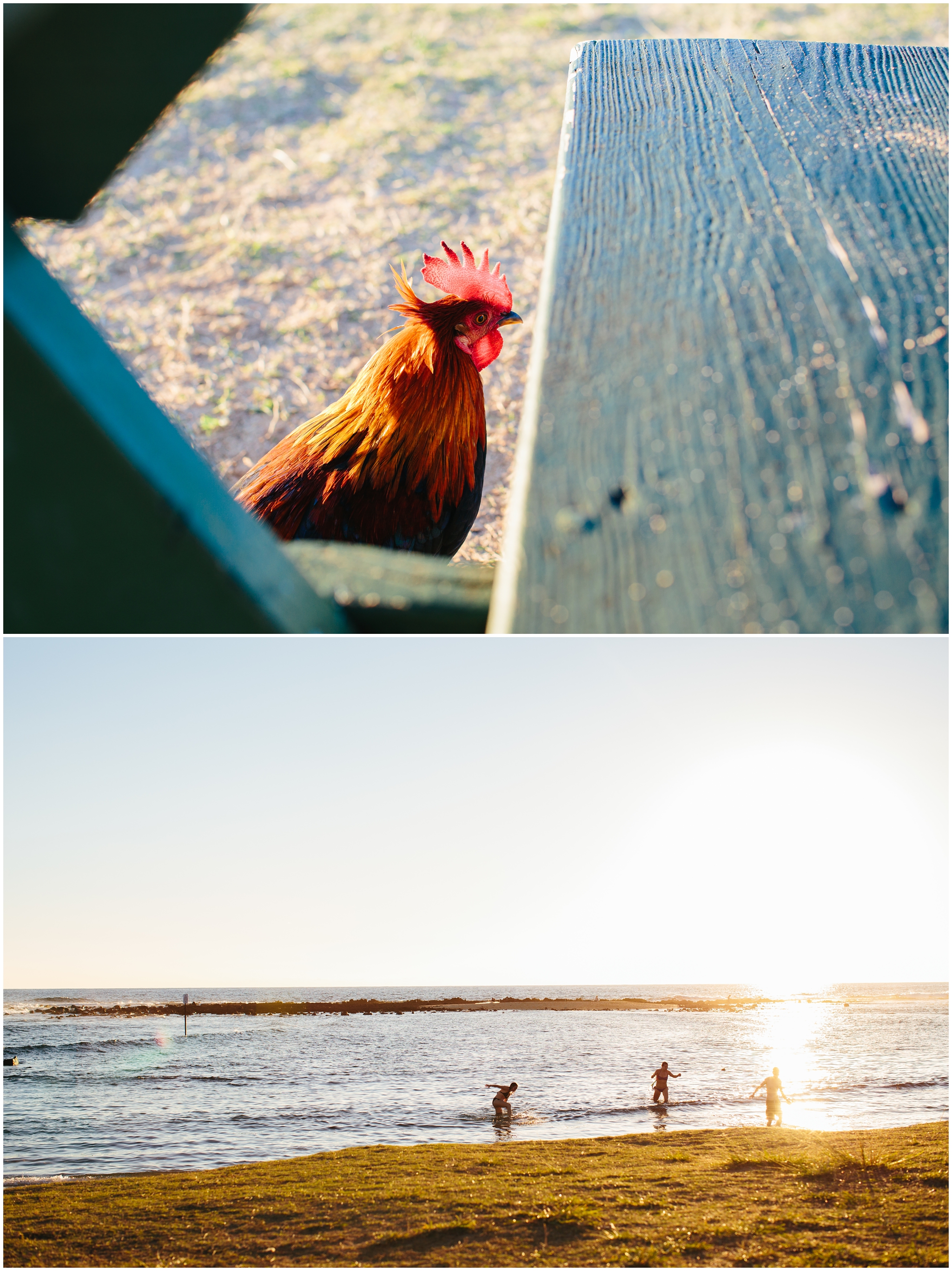 Kauai Wedding Photographer - Kauai Trip https://brittneyhannonphotography.com