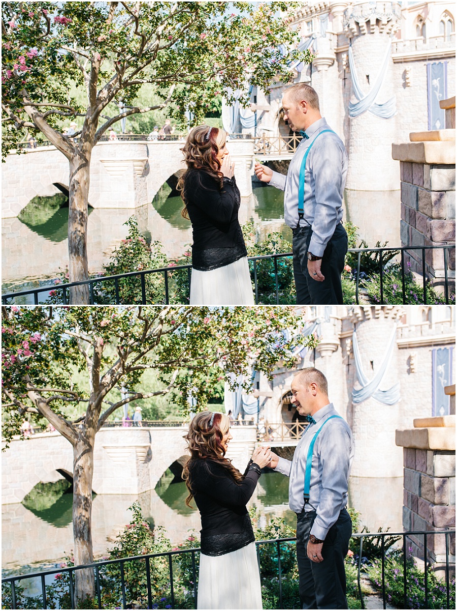 Disneyland Anniversary - https://brittneyhannonphotography.com