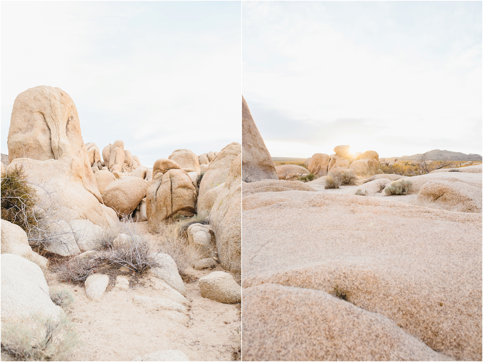 Joshua Tree Engagement Session - https://brittneyhannonphotography.com