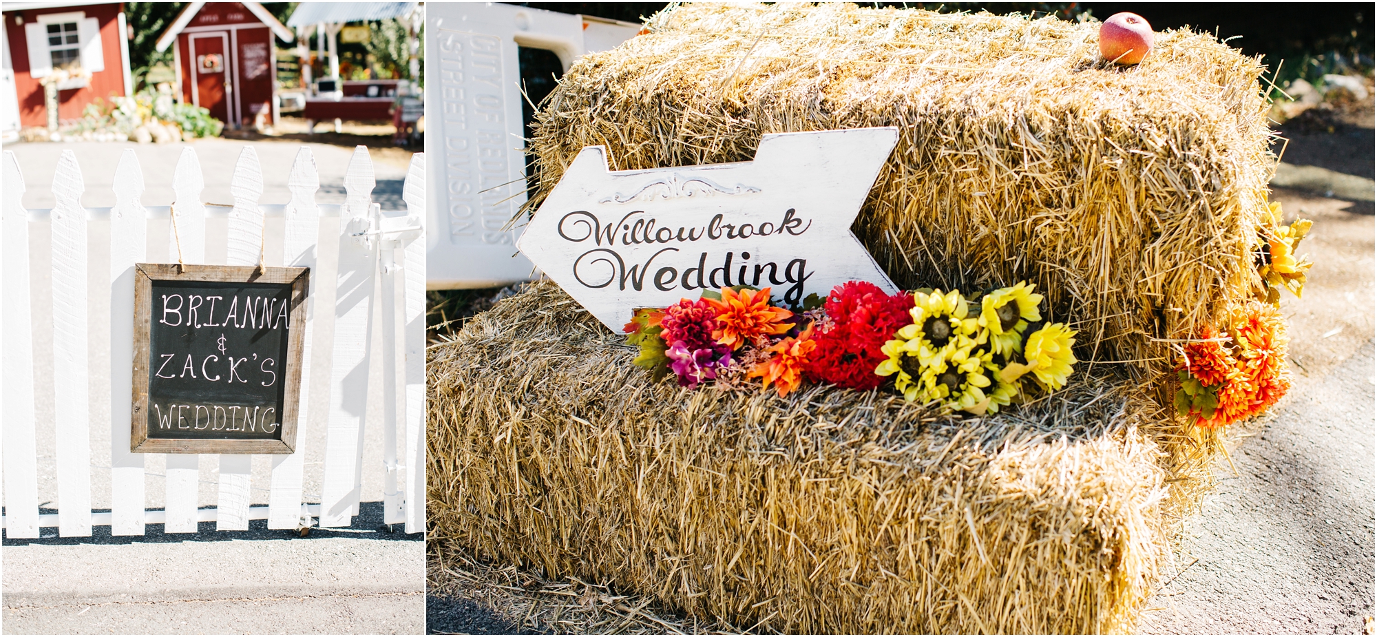 Apple Farm Wedding - https://brittneyhannonphotography.com