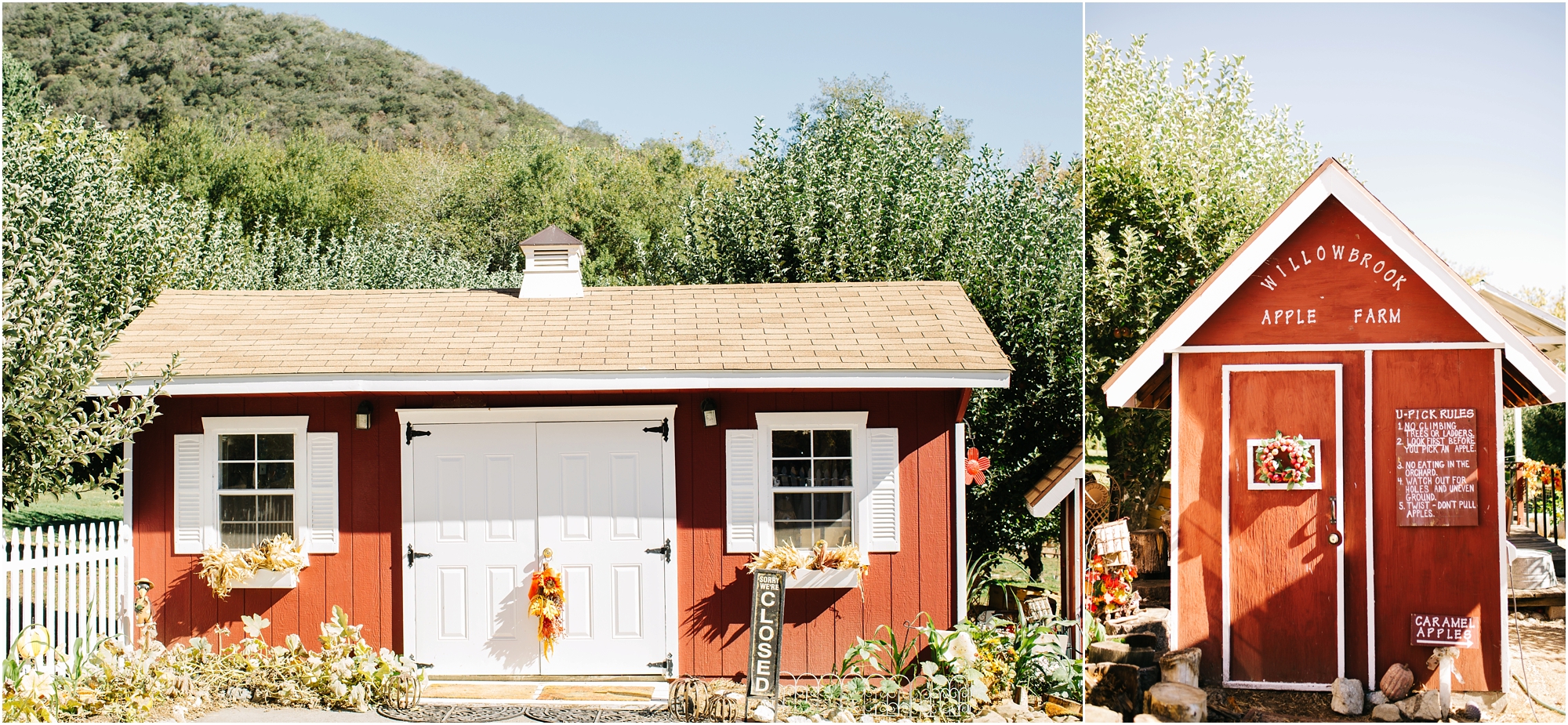 Oak Glen Apple Farm Wedding - https://brittneyhannonphotography.com