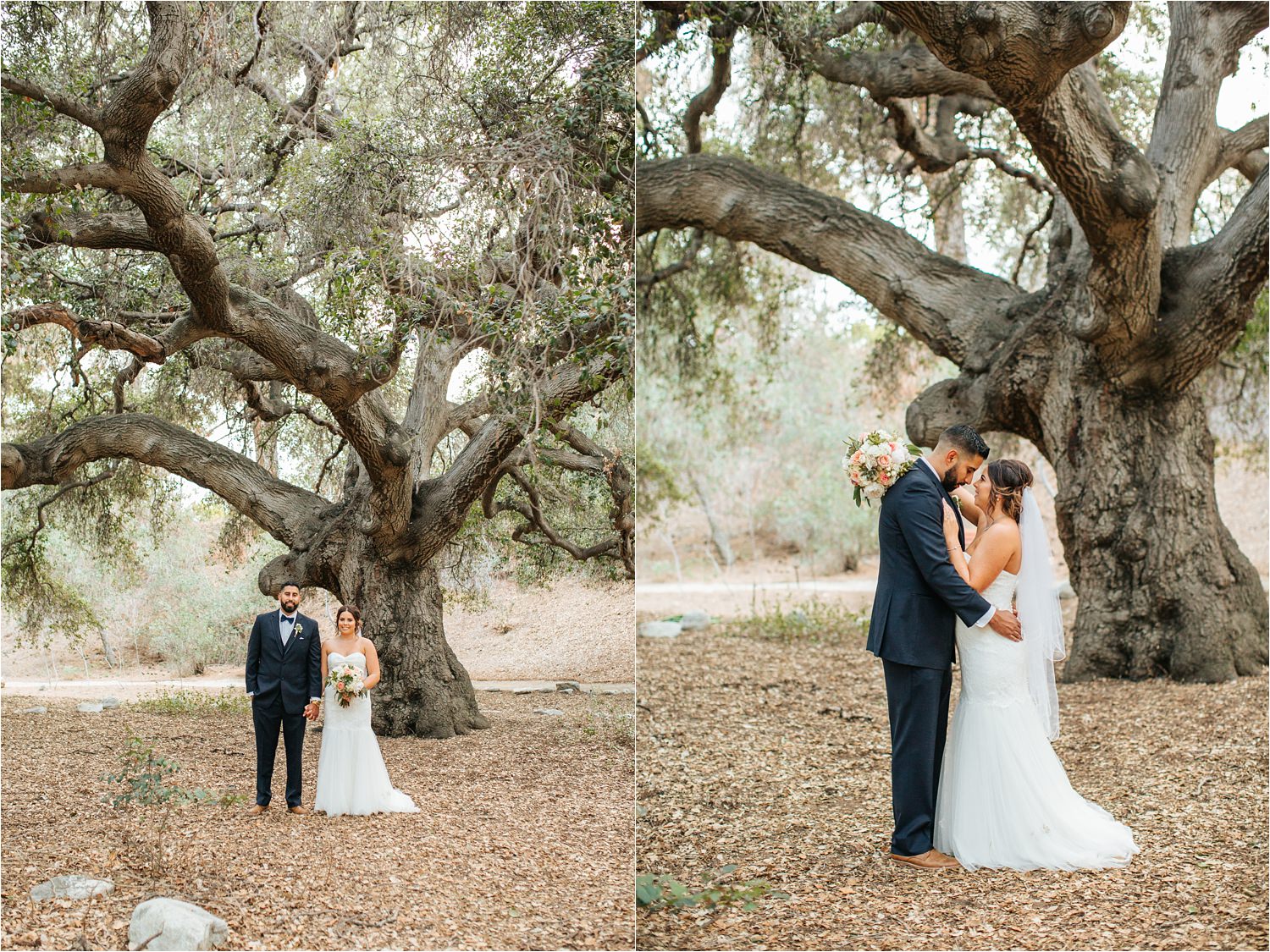 Romantic Oak Tree Bride and Groom Photos - http://brittneyhannonphotography.com