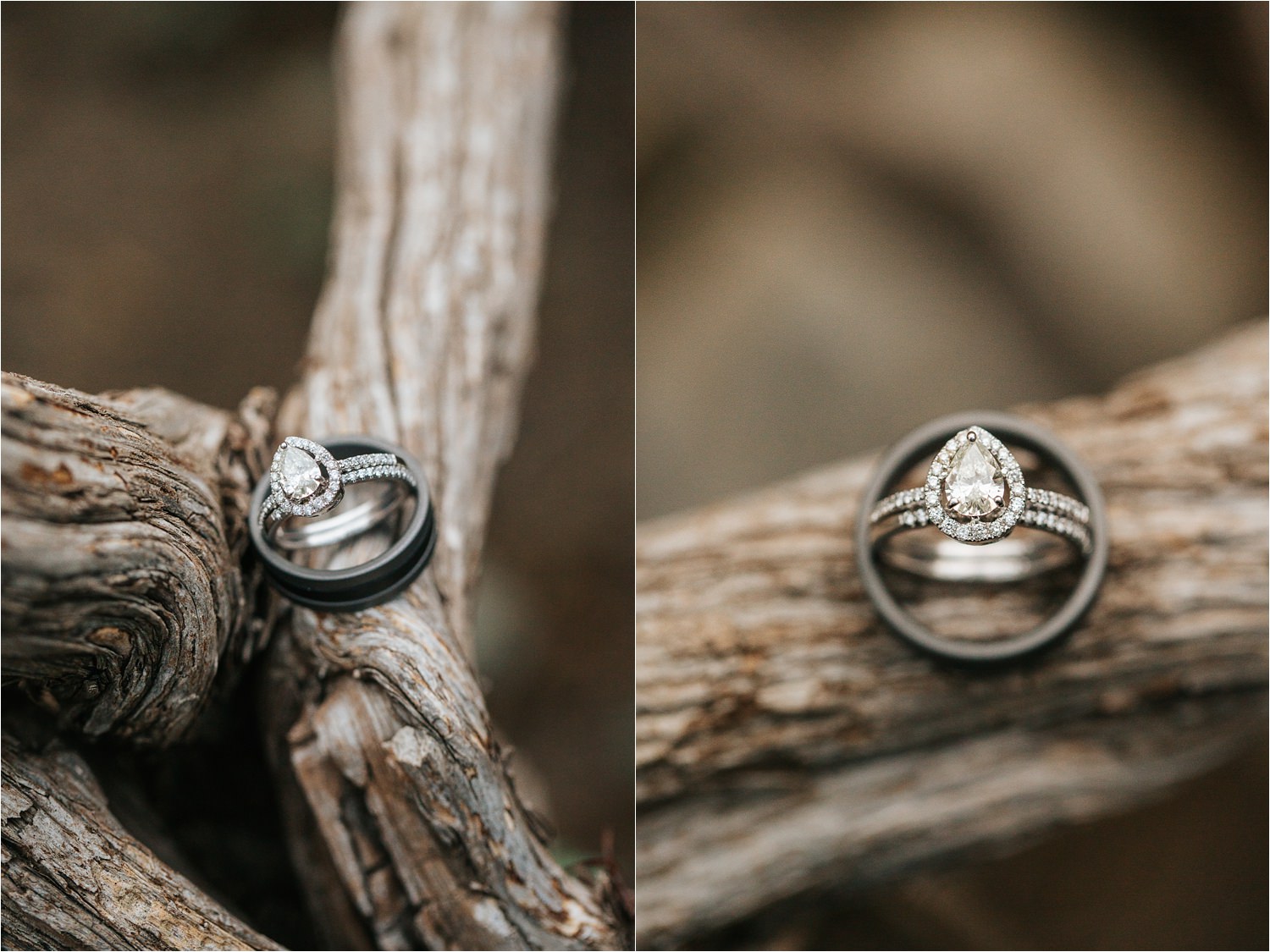 Wedding Rings - http://brittneyhannonphotography.com