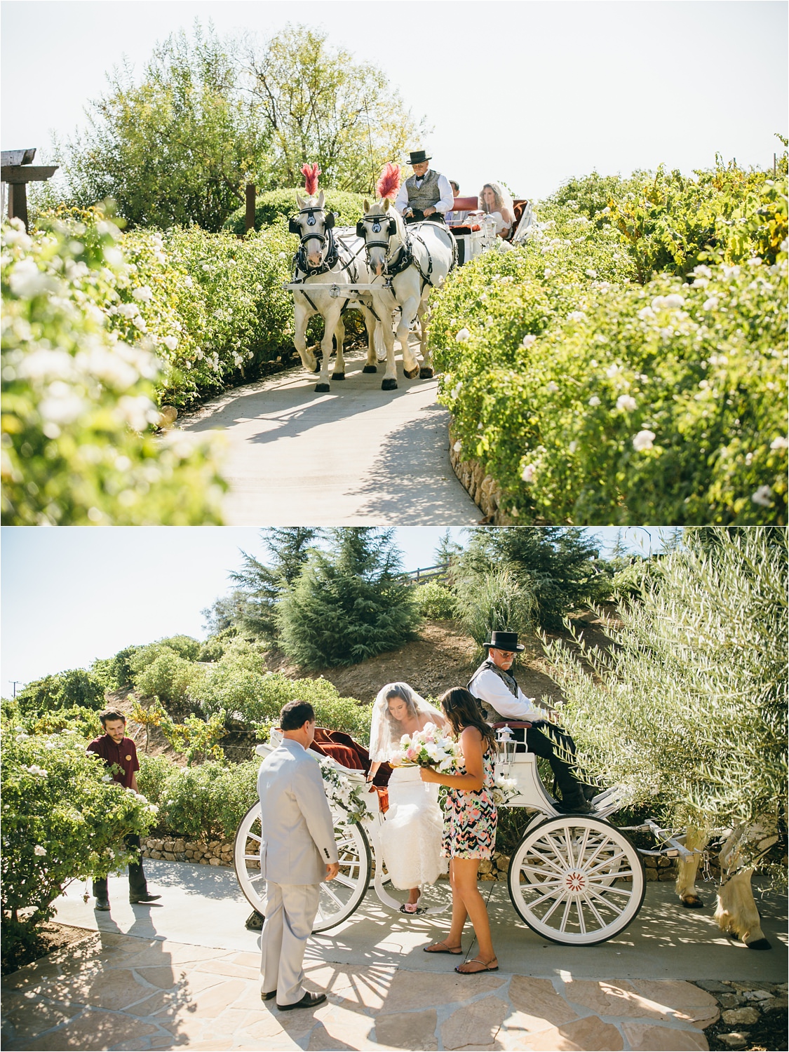 Serendipity Gardens Wedding Oak Glen Wedding In Yucaipa Ca