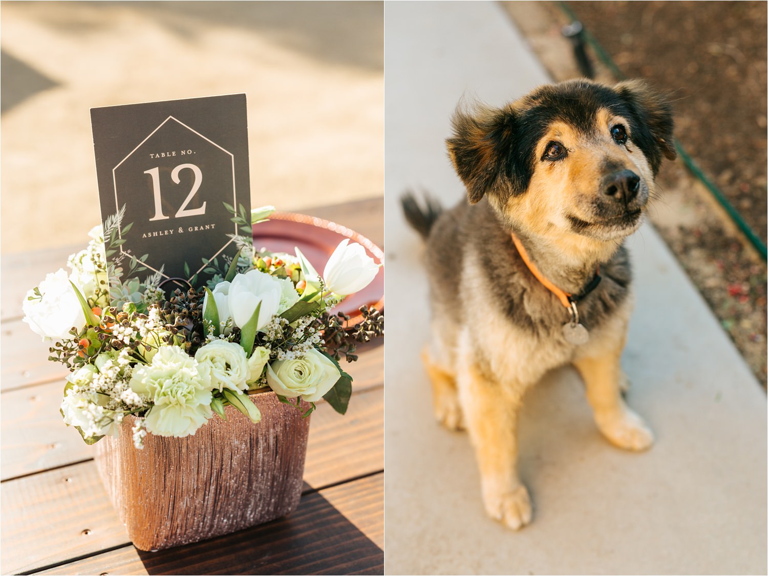 Dreamy backyard wedding details - DIY wedding in California - https://brittneyhannonphotography.com