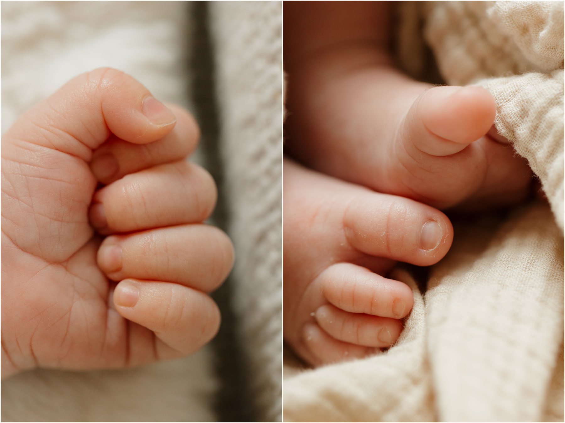 Baby toes - Southern California Photographer
