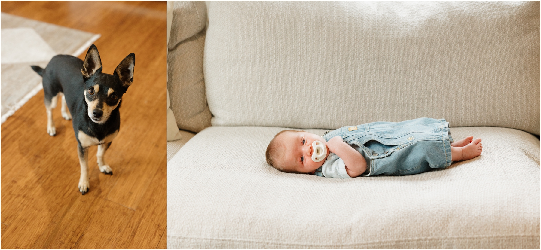 So Cal Lifestyle Newborn Photographer